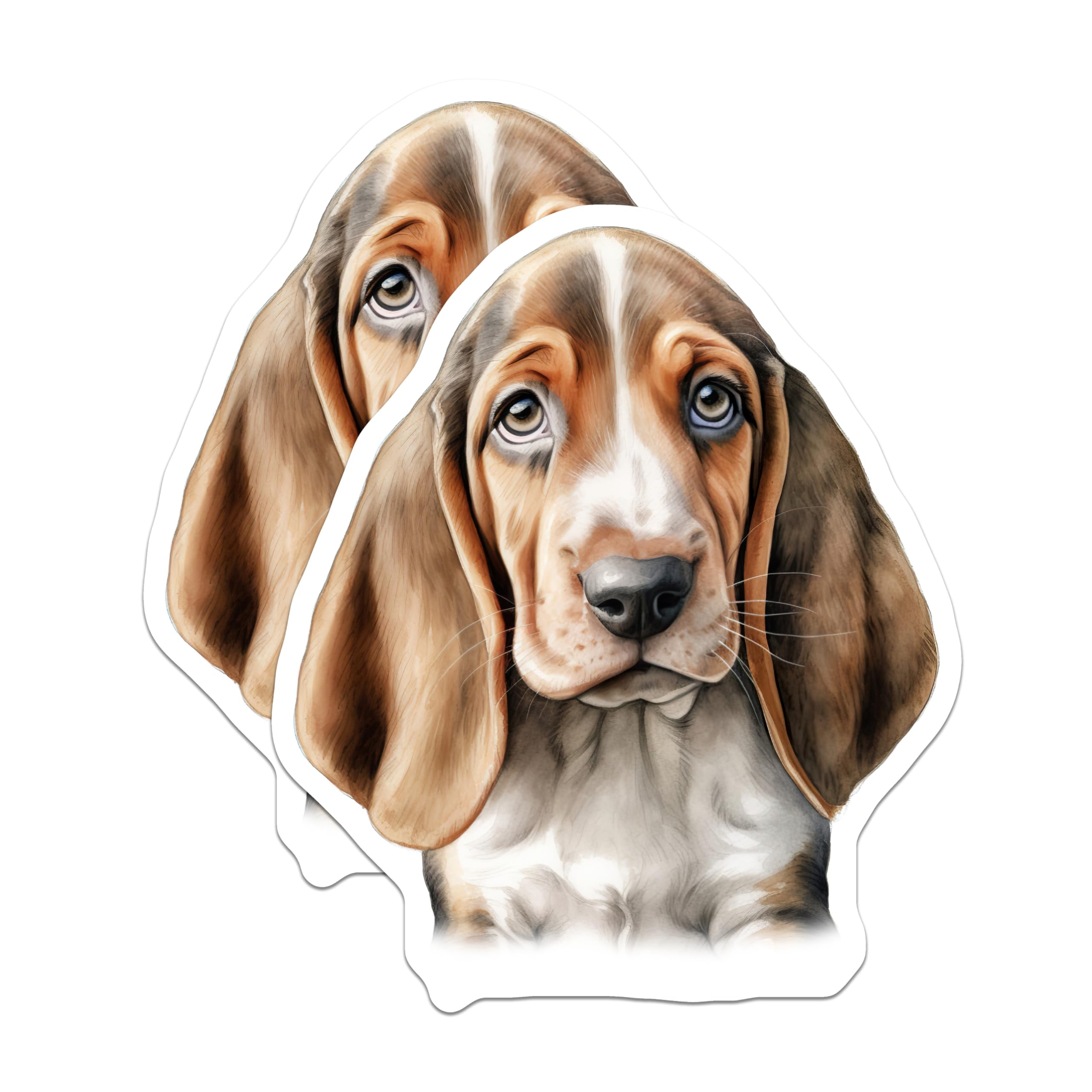 (2 Pack) Basset Hound Puppy Magnets - Adorable Dog Lover Art - Fridge Locker Decor - 5 Inches On Longest Side - Thick Durable Magnet - Made in USA - MAG24345