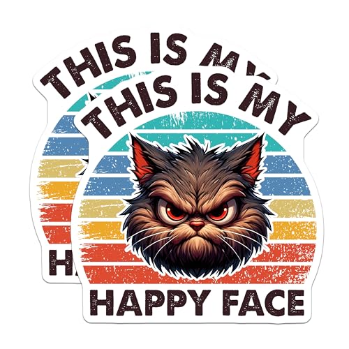(2 Pack) Funny Cat Magnets - This is My Happy Face - 5" On Longest Side - for Cars, Fridges, Toolboxes - Made in USA - MAG7343