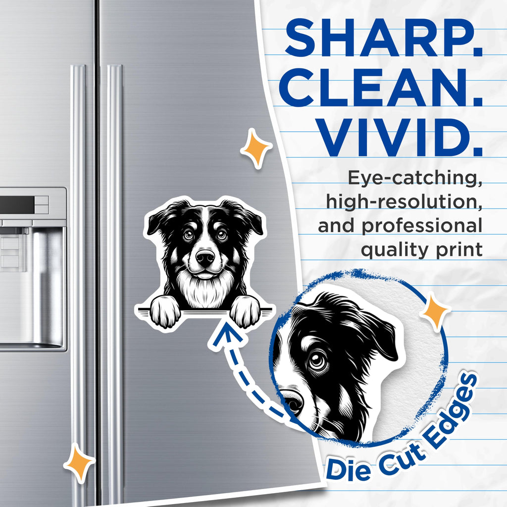 (2 Pack) Border Collie Magnets - Dog Breed Art - Refrigerator Magnets for Dog Lovers - 5" On Longest Side - Premium Magnet - for Cars, Refrigerators, Toolboxes, Lockers - Made in USA - MAG14725