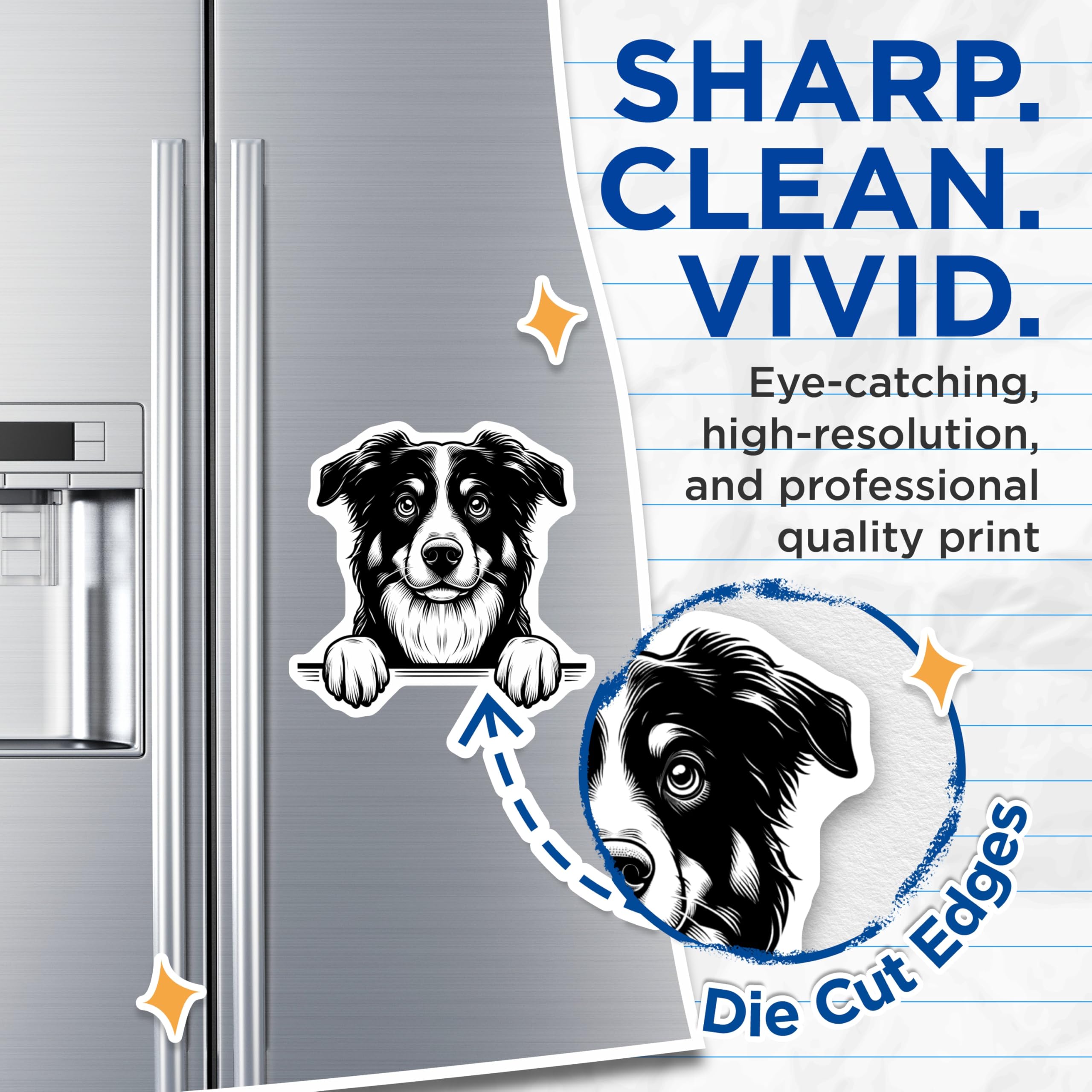 (2 Pack) Border Collie Magnets - Dog Breed Art - Refrigerator Magnets for Dog Lovers - 5" On Longest Side - Premium Magnet - for Cars, Refrigerators, Toolboxes, Lockers - Made in USA - MAG14725
