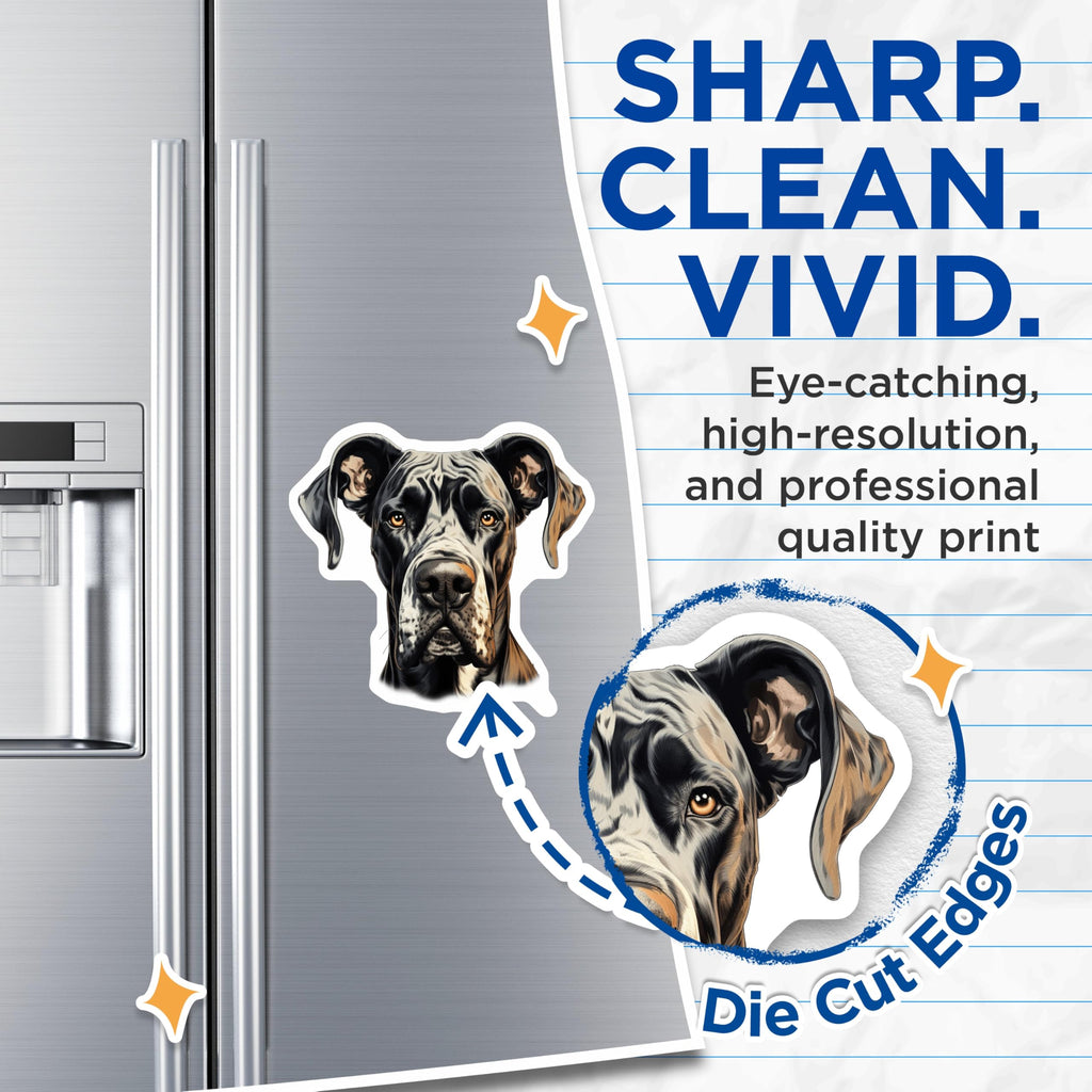 (2 Pack) Great Dane Magnets - Harlequin Dog Portrait - Dog Mom Dad Home Decor Accent - 5 Inches On Longest Side - Thick Durable Magnet - Made in USA - MAG28318