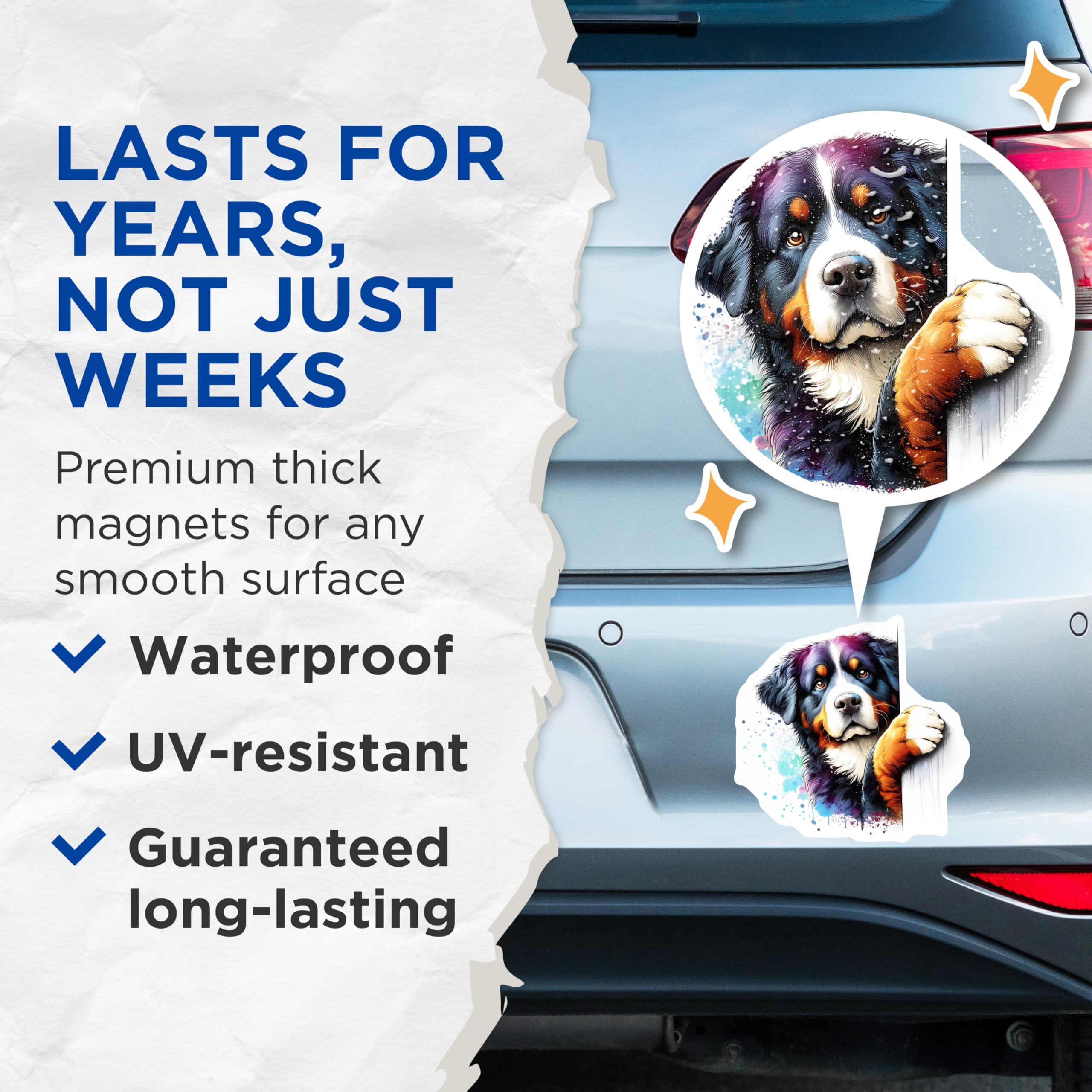 (2 Pack) Bernese Mountain Dog Magnets - Dog Breed Decor - Pet Lover Fridge Magnets - 5" On Longest Side - Premium Magnet - for Cars, Refrigerators, Toolboxes, Lockers - Made in USA - MAG15071