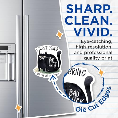 (2 Pack) Funny Cat Quote Magnets - Grumpy Cat Magnets - Humor Magnets for Fridge - 5" On Longest Side - for Cars, Refrigerators, Toolboxes, Lockers - Made in USA BMCS3451