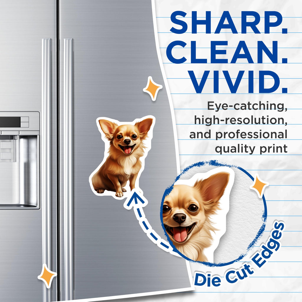 (2 Pack) Long Haired Chihuahua Magnets - Smiling Dog Fridge Decor - Pet Lover Animal Enthusiast - 5 Inches On Longest Side - Thick Durable Magnet - Made in USA - MAG29221