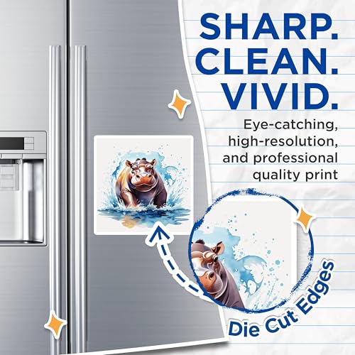(2 Pack) Hippo Splash Magnets Magnets - Animal Lover Decor - 5" On Longest Side - Made in USA - Sticks to Refrigerators & Metal Surfaces - MAG8703