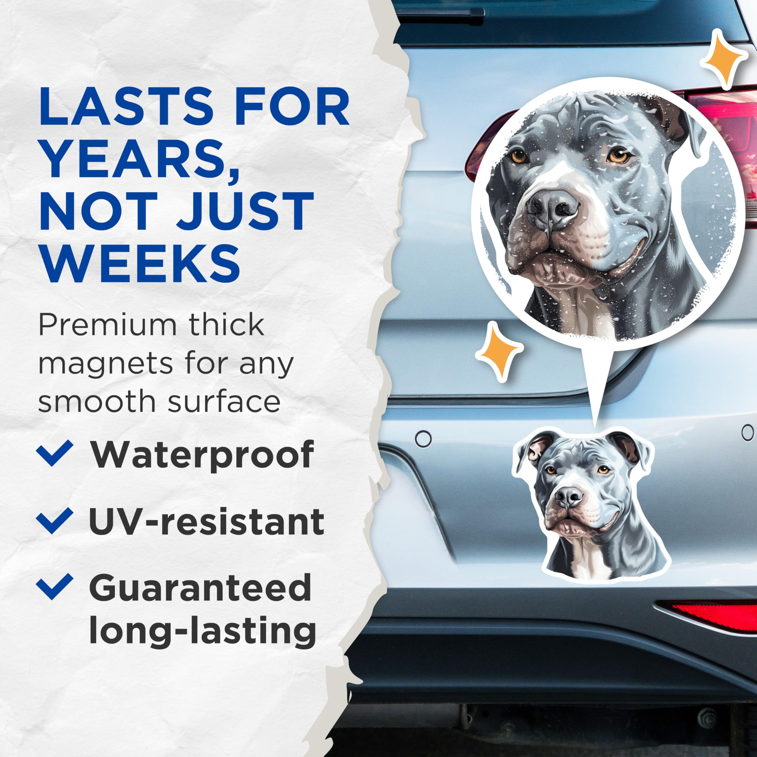 (2 Pack) Blue Nose Pitbull Magnets - Dog Lover Kitchen Decor - Pet Parent Refrigerator Art - 5 Inches On Longest Side - Thick Durable Magnet - Made in USA - MAG26496