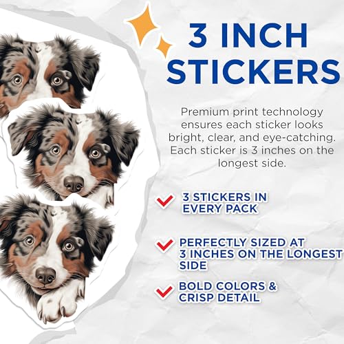 (3 Pack) Australian Shepherd Decals - Cute Aussie Dog Stickers - Laptop Decals - 3 Inches On Longest Side - Easy Peel & Apply - Made in USA - 3MCS8601