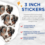 (3 Pack) Australian Shepherd Decals - Cute Aussie Dog Stickers - Laptop Decals - 3 Inches On Longest Side - Easy Peel & Apply - Made in USA - 3MCS8601