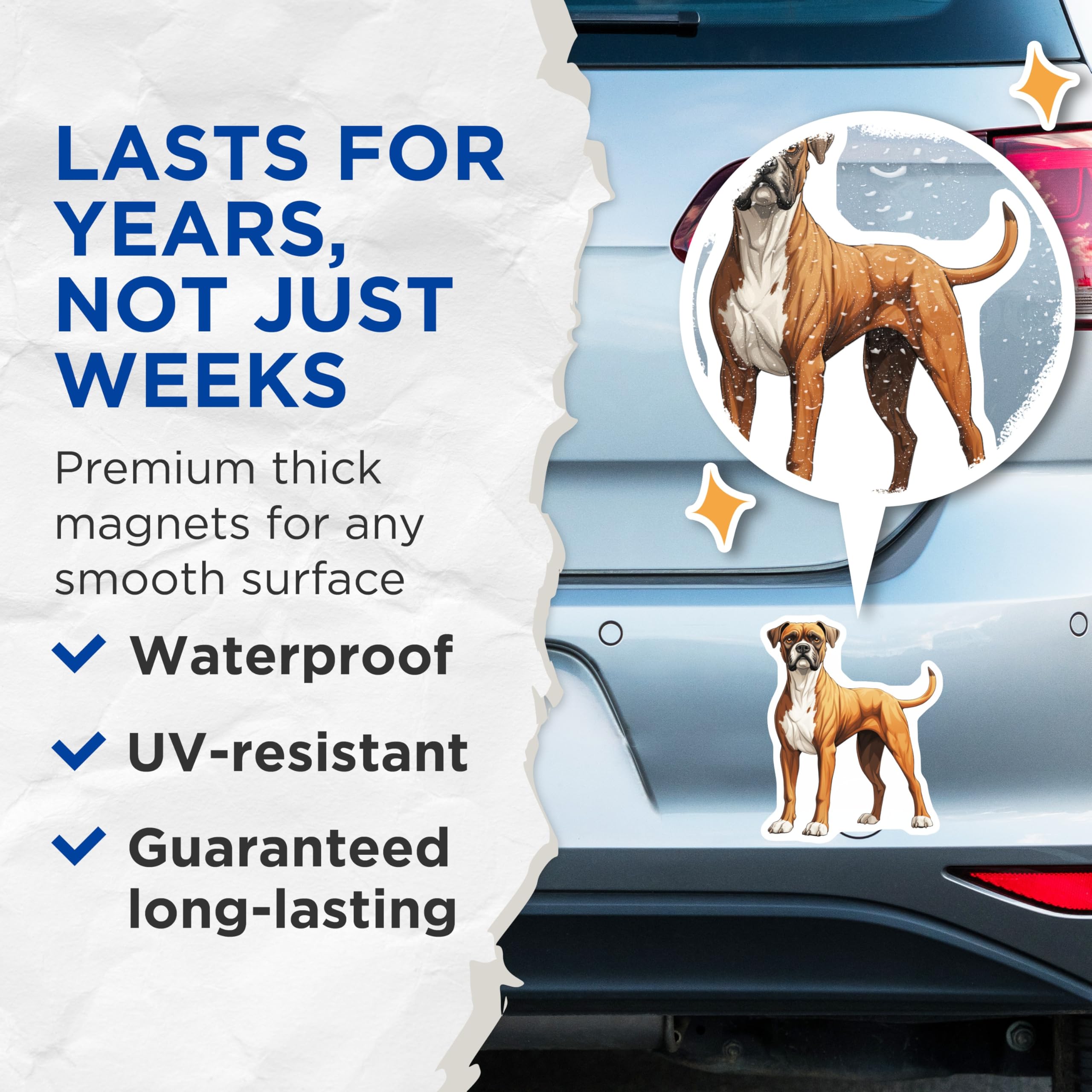 (2 Pack) Boxer Dog Magnets - Fawn Boxer Dog Decor - Canine Pet Owner Refrigerator Magnets - 5 Inches On Longest Side - Thick Durable Magnet - Made in USA - MAG29702