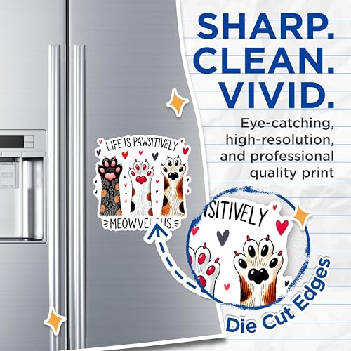 (2 Pack) Life is Pawsitively Meowvelous Cat Paws Magnets - Cute Cat Lovers Magnets - Cat Paw Print Magnets for Fridge Decor- 5" On Longest Side - for Fridges, Toolboxes, Cars - Made in USA - MAG2797