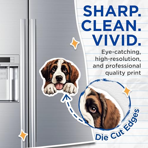 (2 Pack) Animal Lover Decor Magnet - Pet Owner Kitchen Accessories - 5" On Longest Side - Sticks to Smooth Flat Surfaces - Made in USA - MAG10287