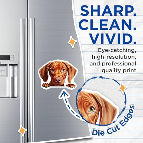 (2 Pack) Adorable Pet Decor Magnet - 5" On Longest Side - Sticks to Smooth Flat Surfaces - Made in USA - MAG10330