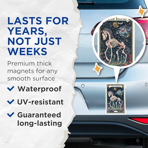 (2 Pack) The Horse Magnets - Skeleton Horse Design - Celestial Art - 5" On Longest Side - for Cars, Fridges, Toolboxes - Made in USA - MAG3711