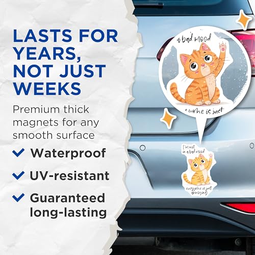 (2 Pack) Funny Cat Mood Magnets - Humorous Feline Quote Magnets - Cute Cat Artwork Magnets for Refrigerator - 5" On Longest Side - for Cars, Refrigerators, Toolboxes, Lockers - Made in USA BMCS3321