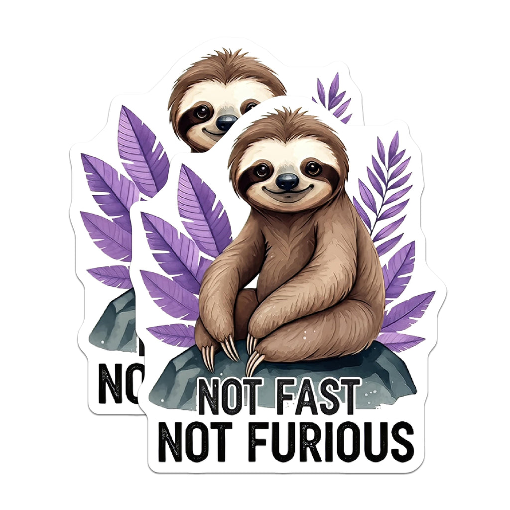 (2 Pack) Not Fast Not Furious Sloth Stickers - Cute Animal Stickers - Fun Inspirational Quote - 5" On Longest Side - Sticks to Smooth Flat Surfaces - Made in USA - BMCS4151