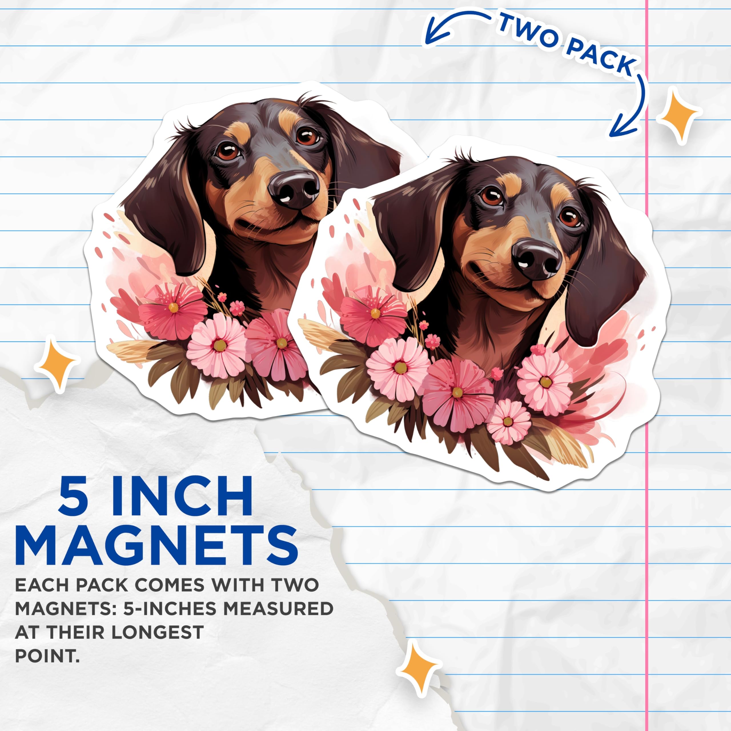 (2 Pack) Dachshund Dog Magnets - Adorable Floral Doxie Art Design - Pet Lover Refrigerator Home Kitchen Decor Accessory - 5 Inches On Longest Side - Thick Durable Magnet - Made in USA - MAG24314