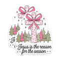 (2 Pack) Jesus Reason Season Magnets - Christian Christmas Decor - Faith Based Kitchen Accent - 5 Inches On Longest Side - Thick Durable Magnet - Made in USA - MAG28584