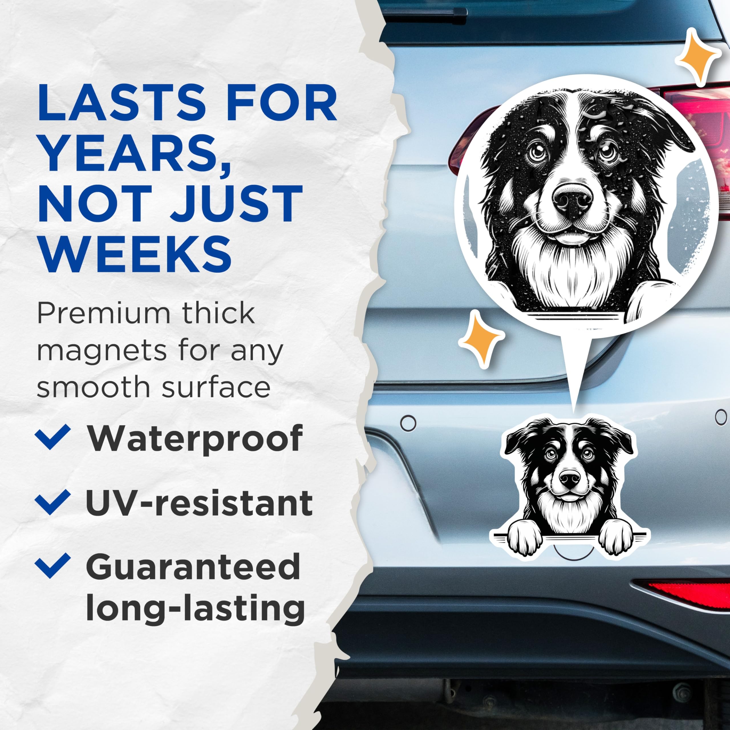 (2 Pack) Border Collie Magnets - Dog Breed Art - Refrigerator Magnets for Dog Lovers - 5" On Longest Side - Premium Magnet - for Cars, Refrigerators, Toolboxes, Lockers - Made in USA - MAG14725