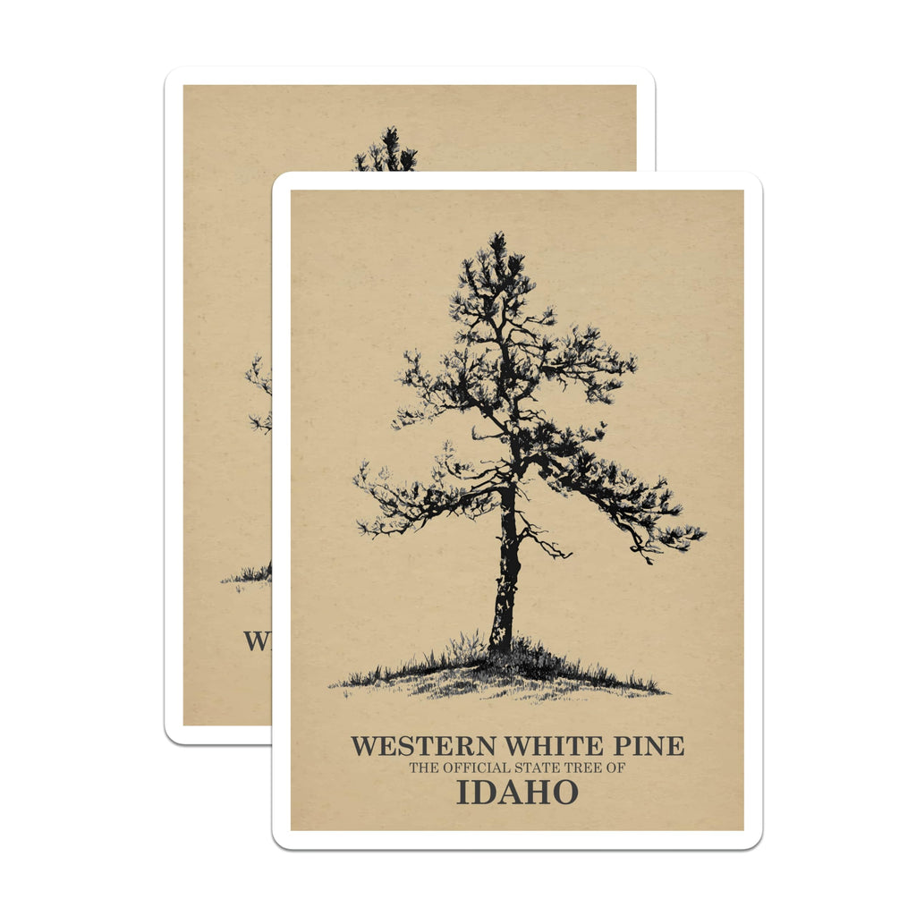 (2 Pack) Western White Pine Magnets - Idaho State Tree - Nature Decor - 5" On Longest Side - Premium Magnet - for Cars, Refrigerators, Toolboxes, Lockers - Made in USA - MAG17178