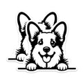 (2 Pack) Corgi Dog Magnets - Cute Puppy Fridge Locker Decor - Pet Owner Animal Lover Accent - 5 Inches On Longest Side - Thick Durable Magnet - Made in USA - MAG38836