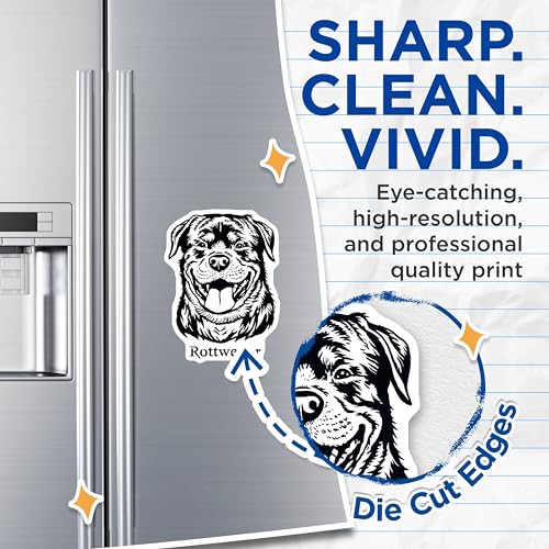 (2 Pack) Smiling Rottweiler Face Magnets - Dog Lover - Pet Enthusiast Refrigerator Magnets - 5" On Longest Side - for Cars, Fridges, Toolboxes - Made in USA - MAG4020