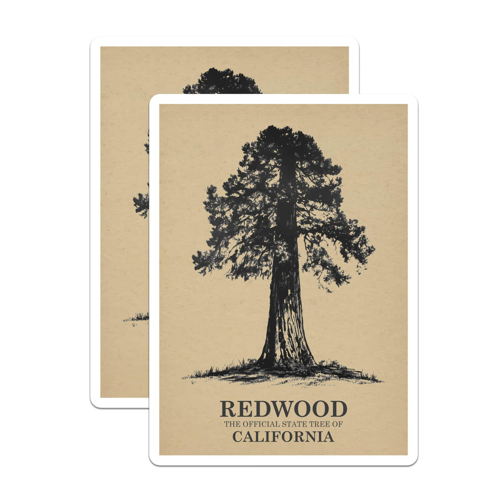 (2 Pack) Redwood Tree Magnets - California State Tree - Nature Lover Fridge Magnets - 5" On Longest Side - Premium Magnet - for Cars, Refrigerators, Toolboxes, Lockers - Made in USA - MAG17372