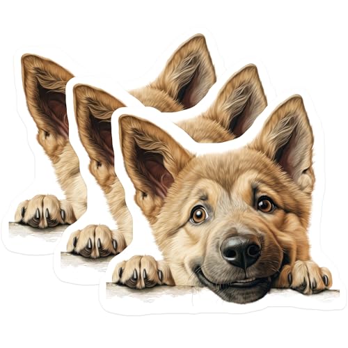 (3 Pack) Shiba Inu Decals - Puppy Stickers - Dog Breed Laptop Decal - 3 Inches On Longest Side - Easy Peel & Apply - Made in USA - 3MCS8694