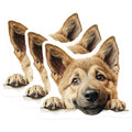 (3 Pack) Shiba Inu Decals - Puppy Stickers - Dog Breed Laptop Decal - 3 Inches On Longest Side - Easy Peel & Apply - Made in USA - 3MCS8694