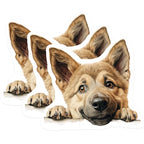 (3 Pack) Shiba Inu Decals - Puppy Stickers - Dog Breed Laptop Decal - 3 Inches On Longest Side - Easy Peel & Apply - Made in USA - 3MCS8694