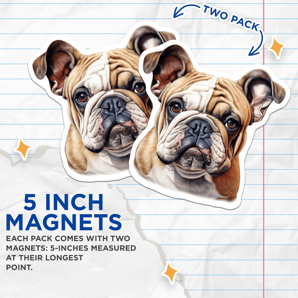 (2 Pack) Bulldog Magnets - English Bulldog Art - Pet Lover Home Decor - 5 Inches On Longest Side - Thick Durable Magnet - Made in USA - MAG24323