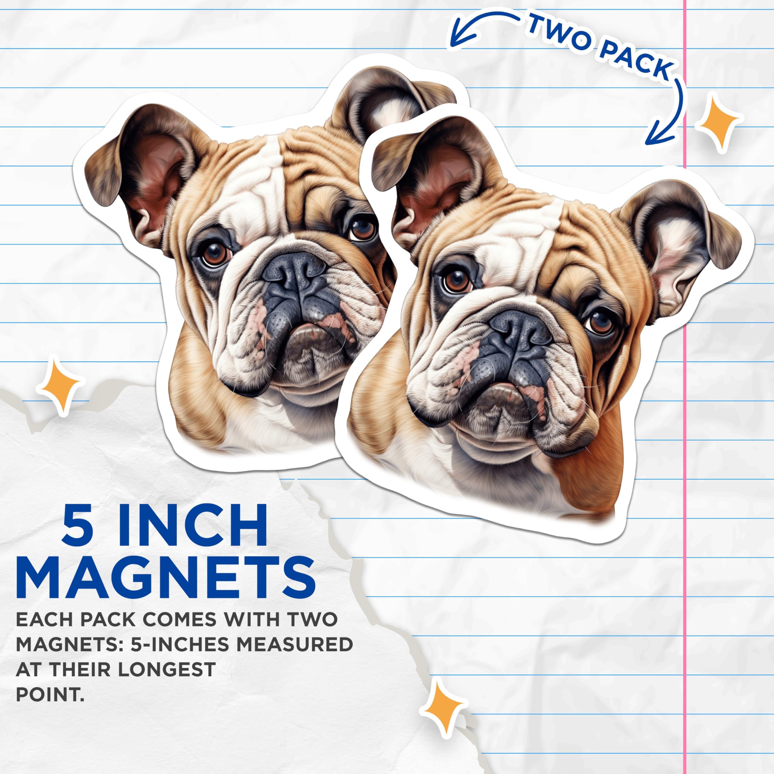 (2 Pack) Bulldog Magnets - English Bulldog Art - Pet Lover Home Decor - 5 Inches On Longest Side - Thick Durable Magnet - Made in USA - MAG24323