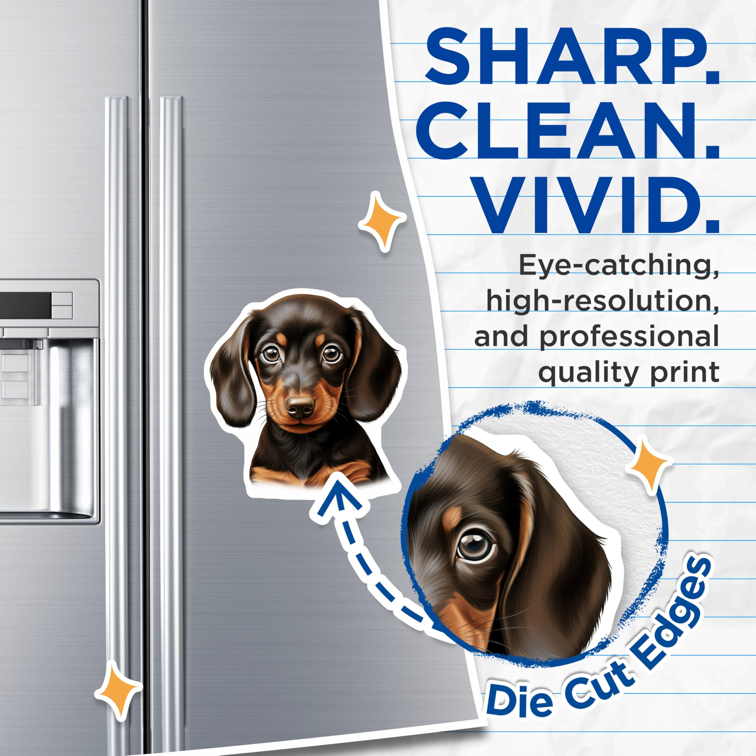 (2 Pack) Dachshund Puppy Magnets - Dog Lover Decor - Pet Owner Kitchen Accessories - Weiner Dog Fridge Art - 5 Inches On Longest Side - Thick Durable Magnet - Made in USA - MAG27575