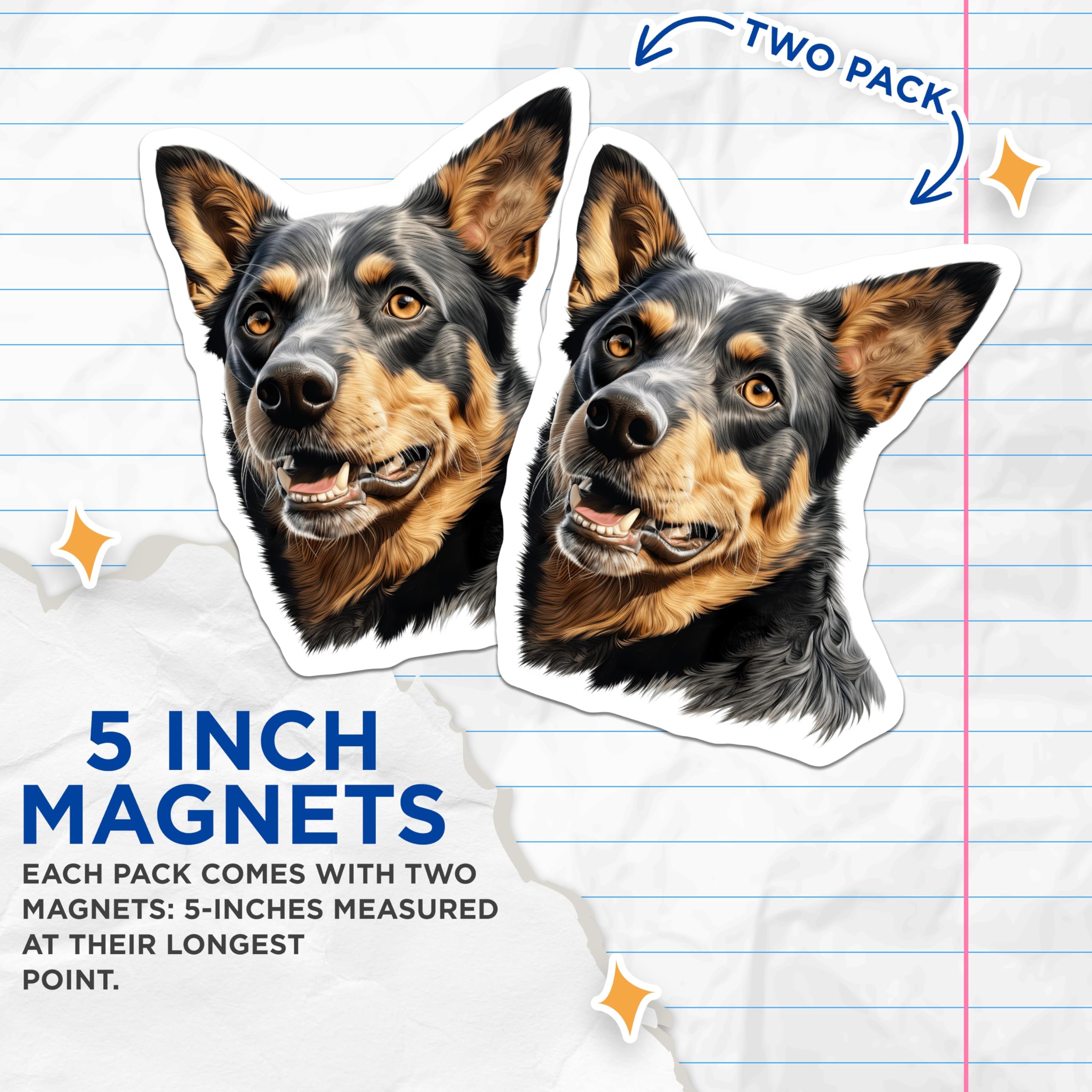 (2 Pack) Australian Cattle Dog Magnets - Blue Heeler Dog Art - Pet Lover Decor Accessory - 5 Inches On Longest Side - Thick Durable Magnet - Made in USA - MAG24094