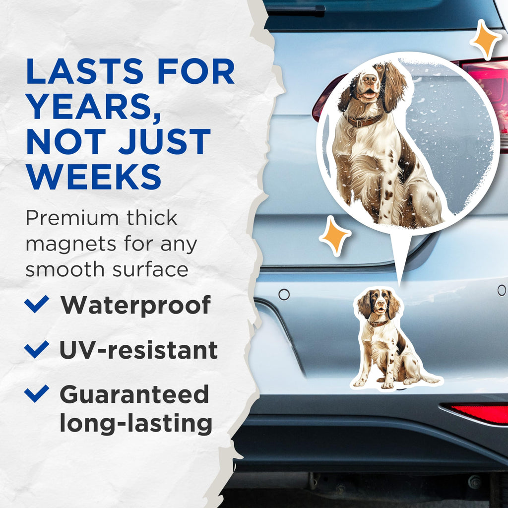 (2 Pack) Springer Spaniel Dog Magnets - Realistic Pet Portrait - Breed Specific Canine Art - Dog Lover Fridge Decor - 5 Inches On Longest Side - Thick Durable Magnet - Made in USA - MAG30487