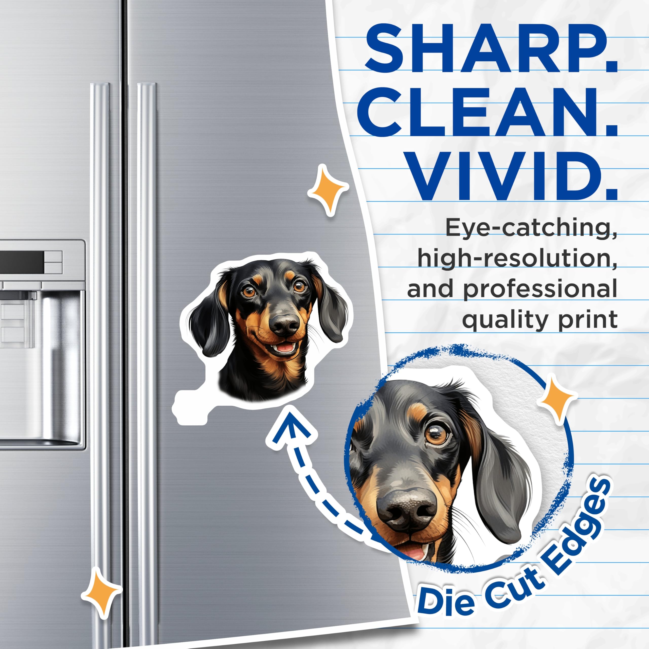 (2 Pack) Dachshund Magnets - Cute Dog Decor - Weiner Dog Refrigerator Accessory - Animal Lover Item - 5 Inches On Longest Side - Thick Durable Magnet - Made in USA - MAG25285