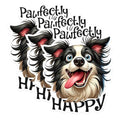 (3 Pack) Border Collie Decals - Pawfectly Happy Dog - Laptop Decal - Pet Lover - 3 Inches On Longest Side - Easy Peel & Apply - Made in USA - 3MCS1266