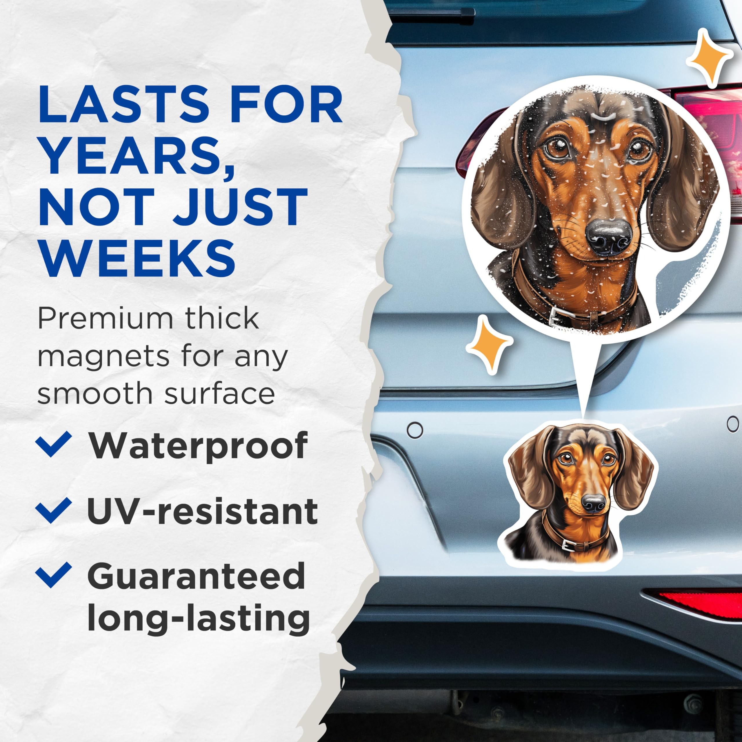 (2 Pack) Dachshund Dog Magnets - Wiener Dog Decor - Sausage Dog Lover Accessory - Pet Parent Present - 5 Inches On Longest Side - Thick Durable Magnet - Made in USA - MAG29975