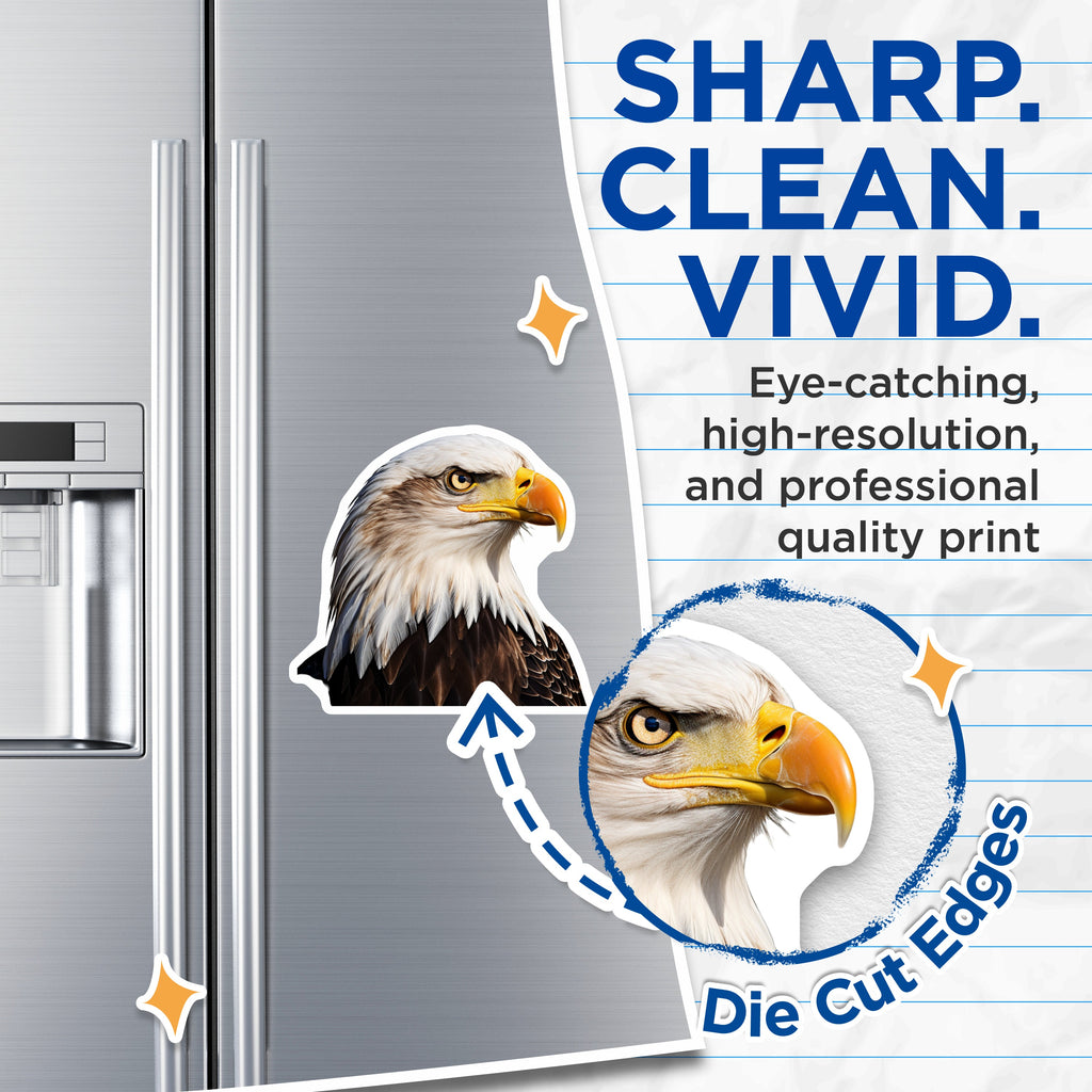 (2 Pack) Bald Eagle Magnets - American Wildlife Decor - Patriotic USA Symbolism - Nature Lover Accent - Freedom Bird Display - 5 Inches On Longest Side - Thick Durable Magnet - Made in USA - MAG39688