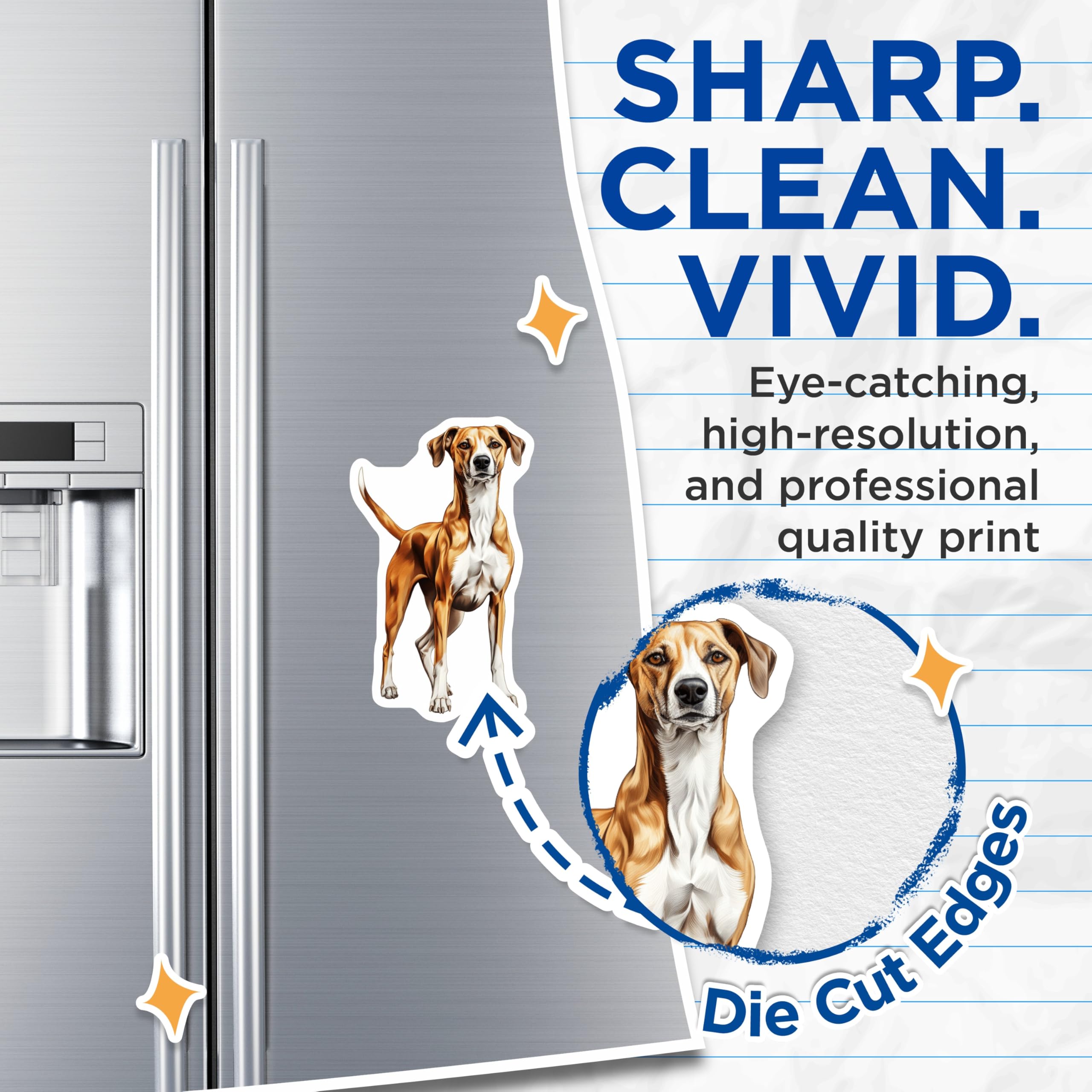 (2 Pack) Hound Dog Magnets - Dog Lover Decor - Pet Owner Kitchen Art - 5 Inches On Longest Side - Thick Durable Magnet - Made in USA - MAG29653