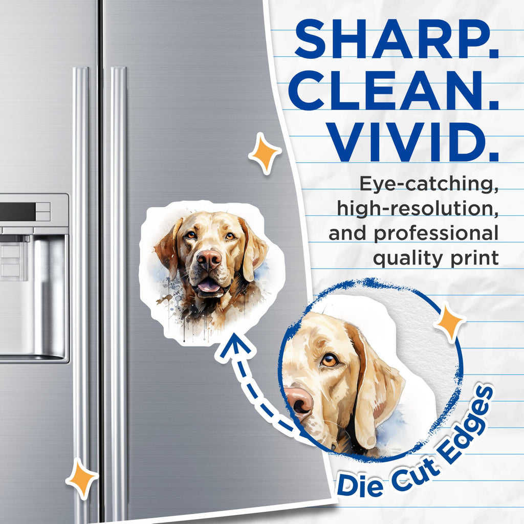 (2 Pack) Golden Retriever Magnets - Watercolor Dog Art - Lab Puppy Fridge Locker Decoration Pet Lover - 5 Inches On Longest Side - Thick Durable Magnet - Made in USA - MAG28439