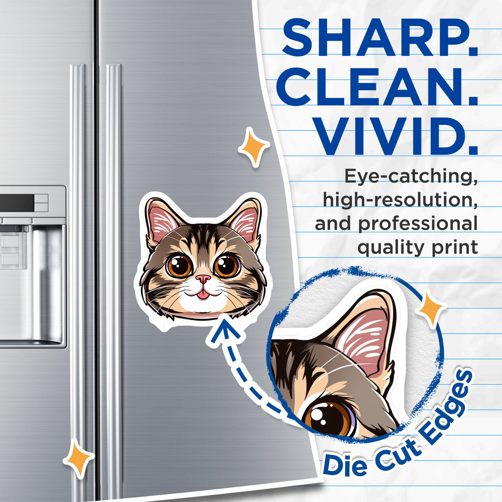 (2 Pack) Cute Cat Face Magnets - Pet Lover Decor - Kawaii Kitty Present - 5 Inches On Longest Side - Thick Durable Magnet - Made in USA - MAG39891