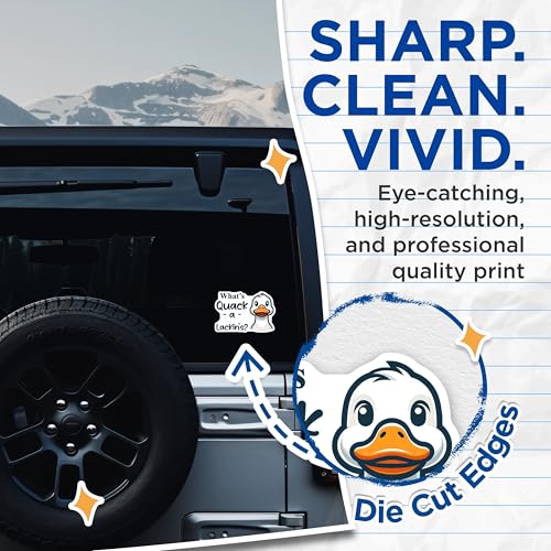 (2 Pack) What's Quack-a-Lackin's? Duck Stickers - Funny Duck Pun Stickers - Cute Animal Stickers for Kids and Adults - 5" On Longest Side - Sticks to Smooth Flat Surfaces - Made in USA - BMCS5656