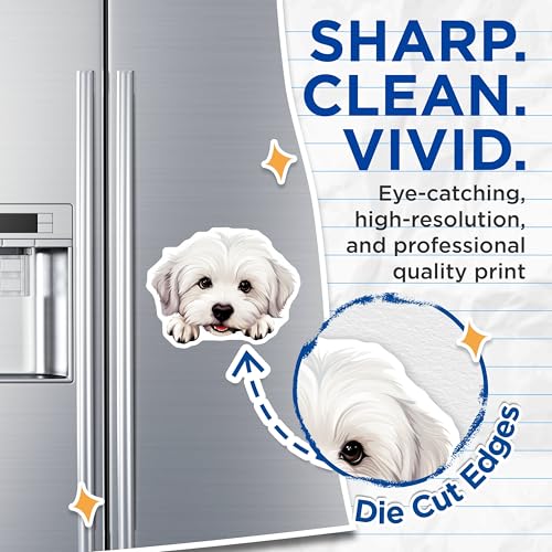 (2 Pack) White Fluffy Dog Magnet - Adorable Pet Decor for Fridge - 5" On Longest Side - Sticks to Smooth Flat Surfaces - Made in USA - MAG9943