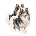 (2 Pack) Shetland Sheepdog Magnets - Sheltie Dog Owner Decor - Pet Lover Fridge Accessory - 5 Inches On Longest Side - Thick Durable Magnet - Made in USA - MAG38962