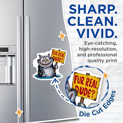 (2 Pack) Funny Cat Magnets Magnets - Fur Real Dude - Novelty Kitchen Decor - 5" On Longest Side - Made in USA - Sticks to Refrigerators & Metal Surfaces - MAG8775