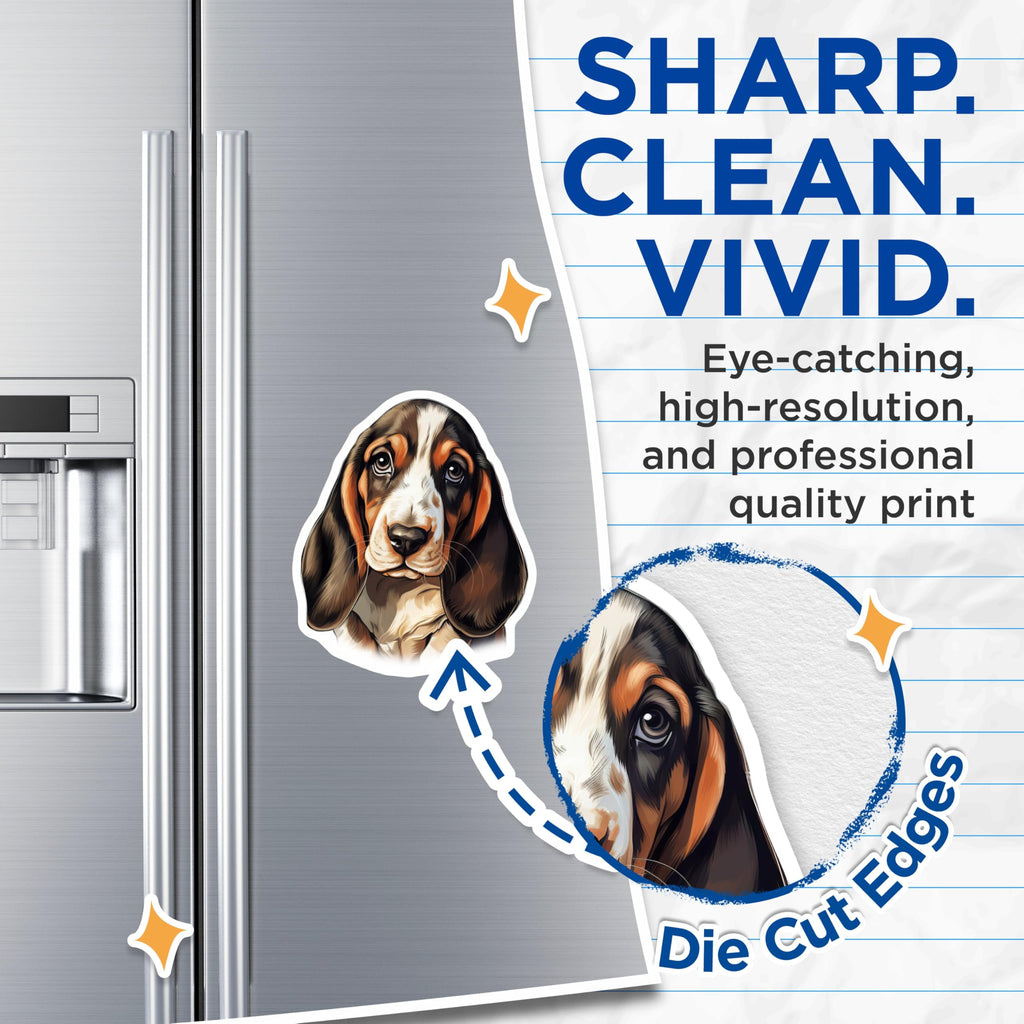 (2 Pack) Basset Hound Magnets - Dog Lover Decor - Floppy Ear Hound Dog Magnets - Pet Owner Refrigerator Art - 5 Inches On Longest Side - Thick Durable Magnet - Made in USA - MAG25483