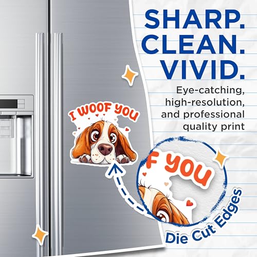 (2 Packs) I Woof You Bloodhound Magnets - Bloodhound Mom Or Dad Magnets - 5 Inches On Longest Side - Premium Magnet - for Fridges, Toolboxes, Cars - Made in USA - MAG2371