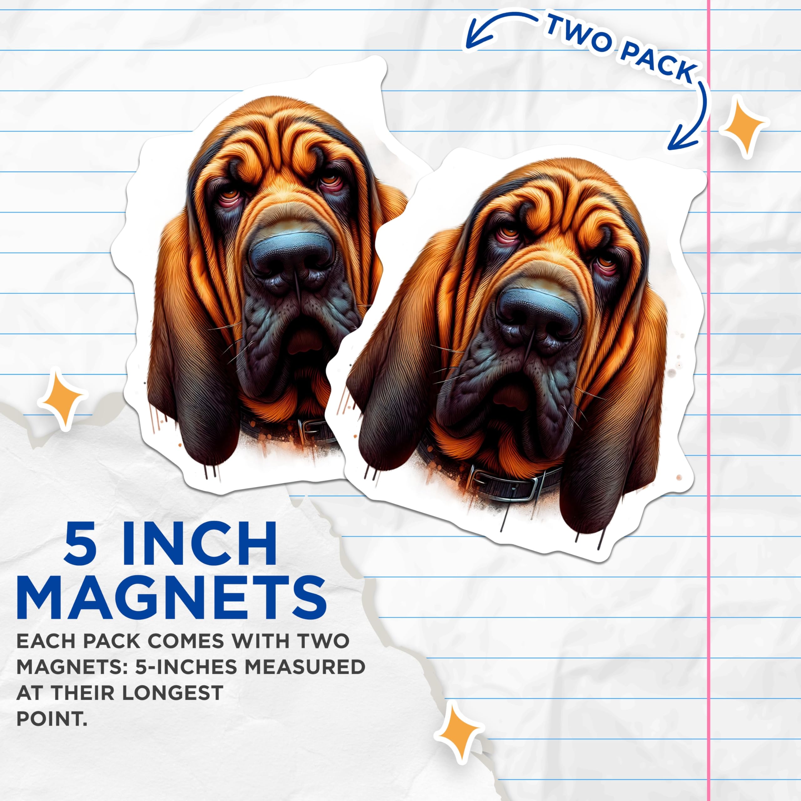 (2 Pack) Bloodhound Dog Magnets - Hound Puppy Home Decor - Unique Refrigerator Stickers - 5" On Longest Side - Premium Magnet - for Cars, Refrigerators, Toolboxes, Lockers - Made in USA - MAG14404