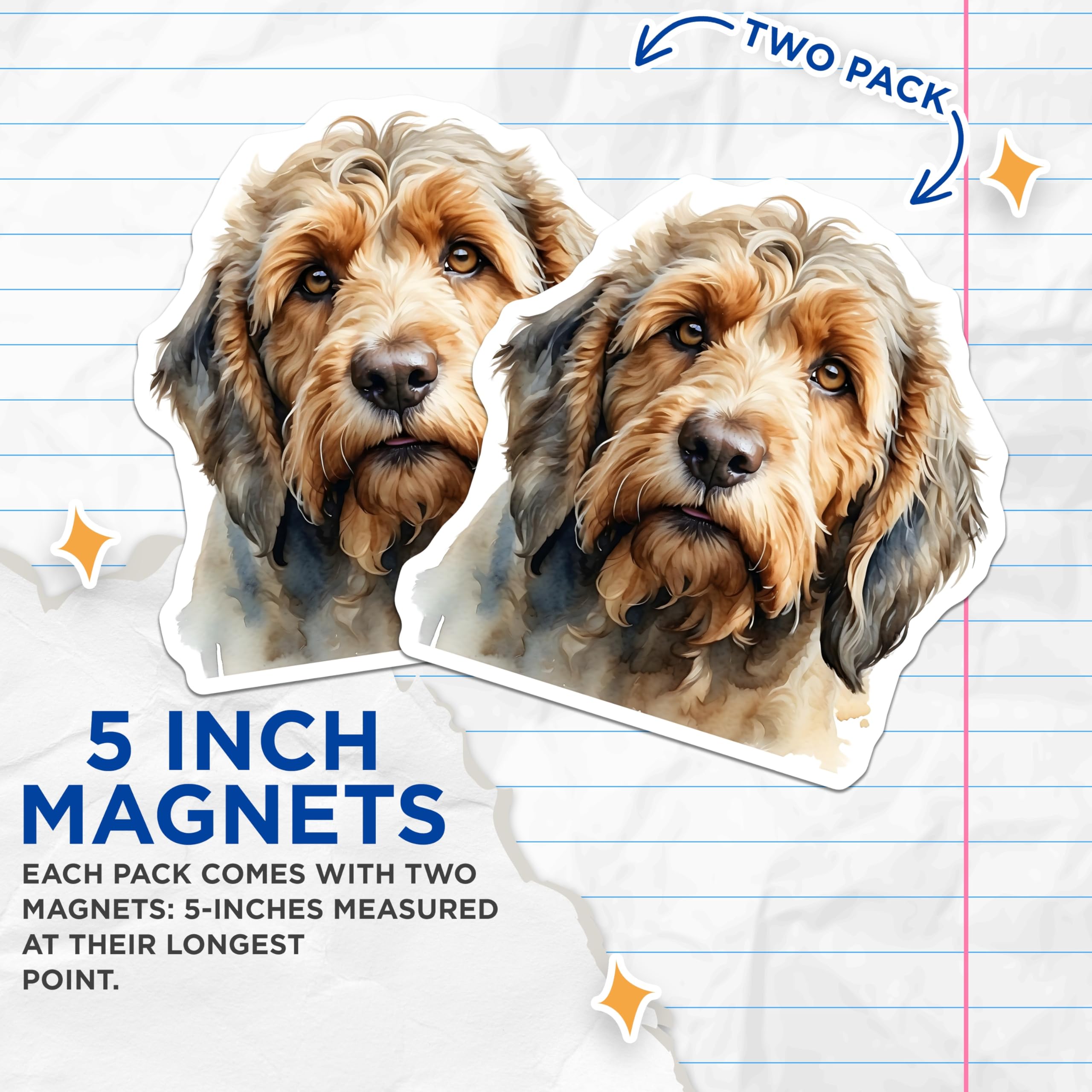 (2 Pack) Otterhound Magnets - Dog Breed Art - Refrigerator Decor - 5" On Longest Side - Premium Magnet - for Cars, Refrigerators, Toolboxes, Lockers - Made in USA - MAG14227