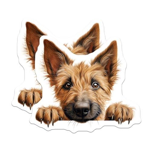 (2 Pack) Cute Pet Fridge Decor Magnet - 5" On Longest Side - Sticks to Smooth Flat Surfaces - Made in USA - MAG9865